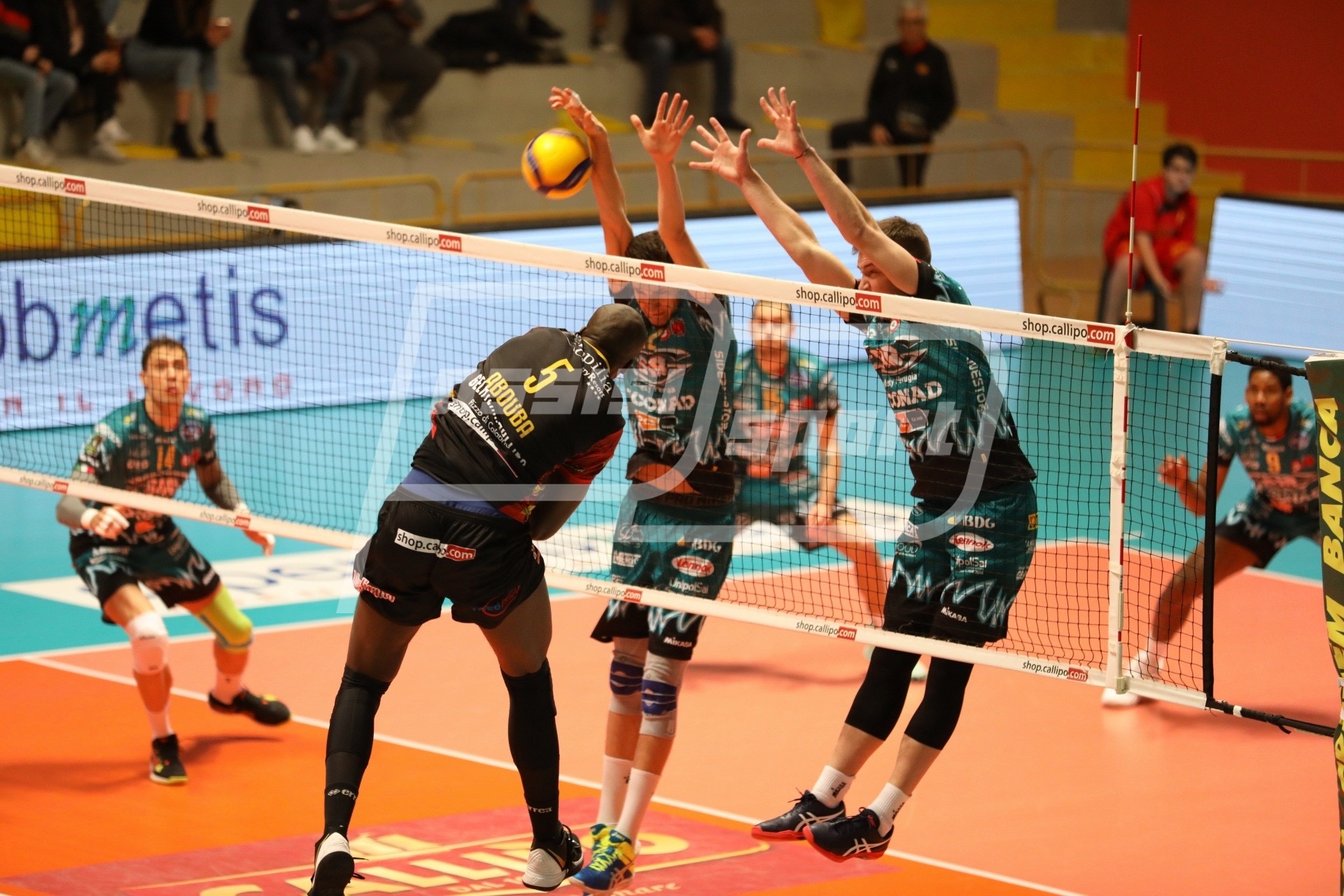 BB85A374-FF53-4B48-8E41-90FBE12DEC62