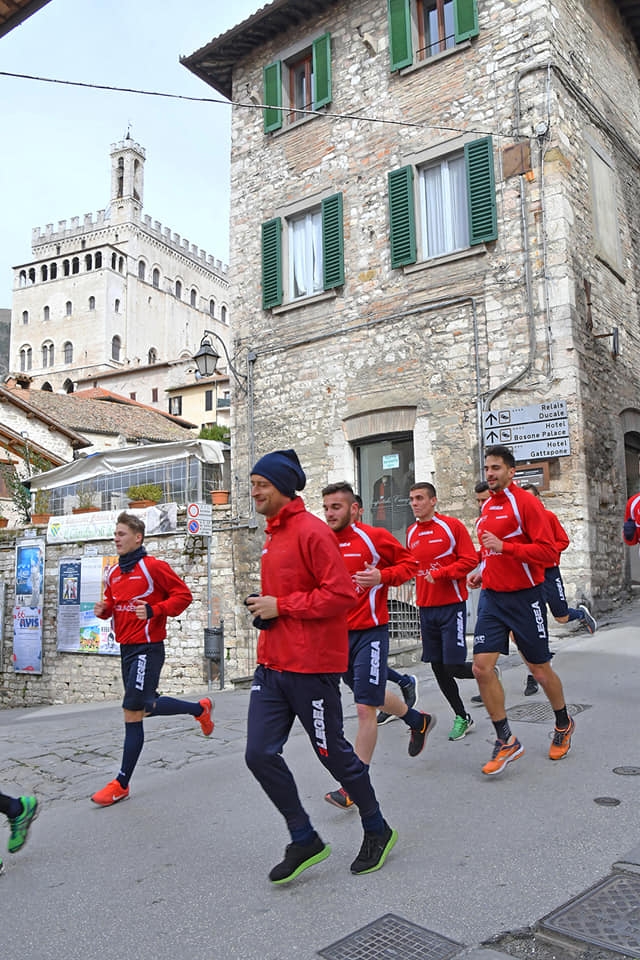 87738075_1605321266286172_7829172502352887808_n