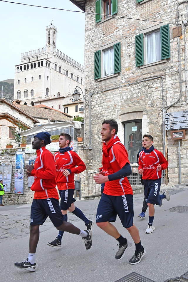 87861945_1605321149619517_6539564548314103808_n