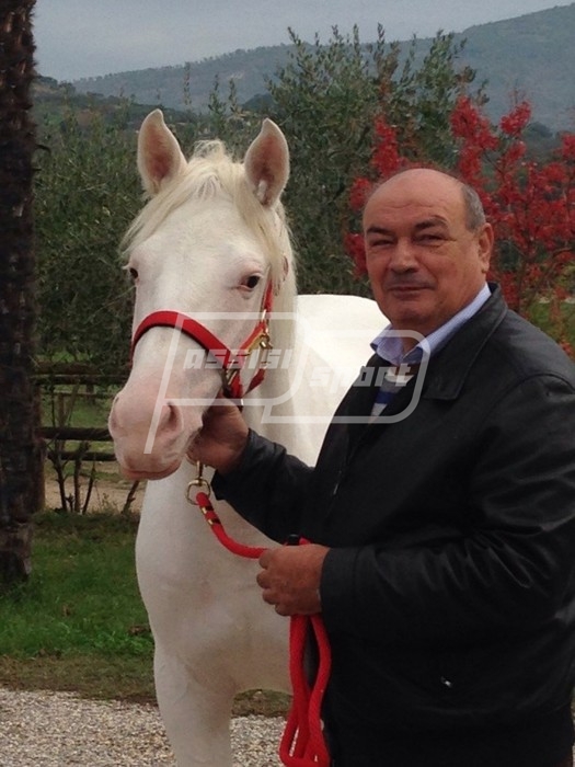 carfagna e via lattea