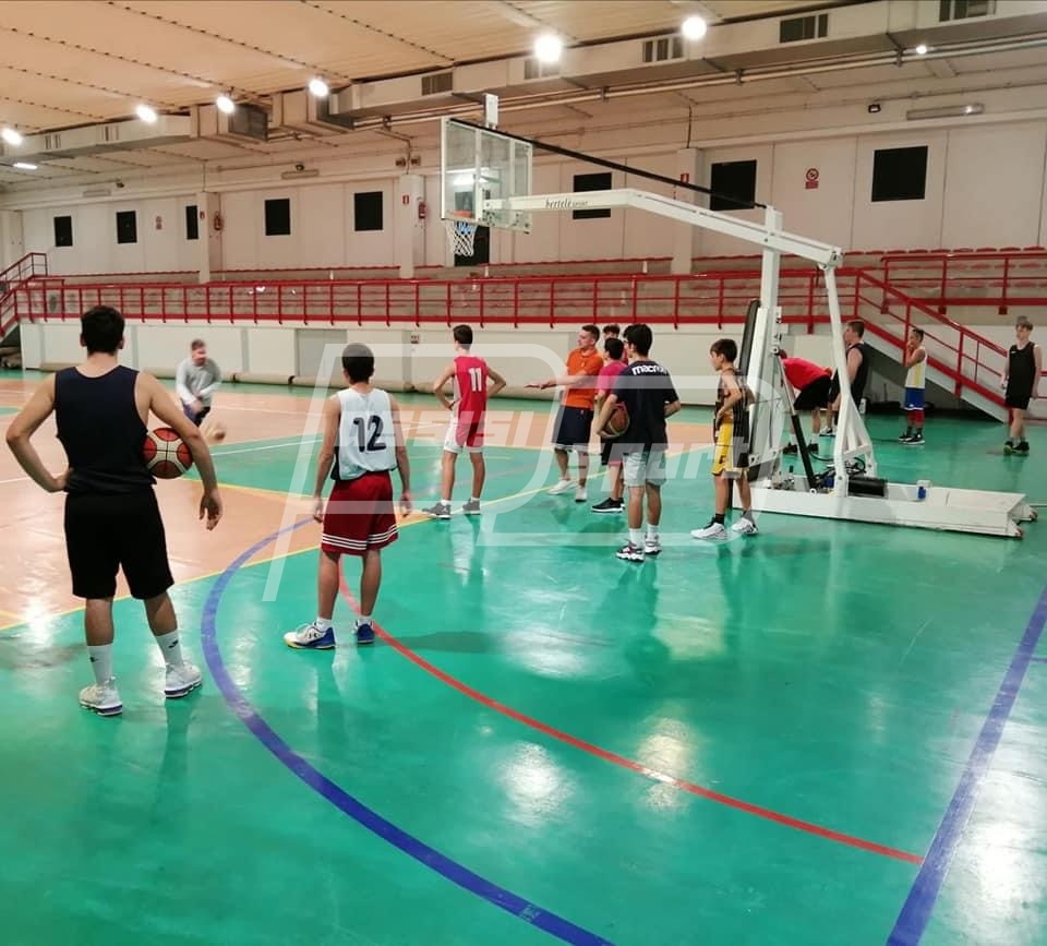 772F3248-C5D0-4512-AF36-C0F423CD3CF8