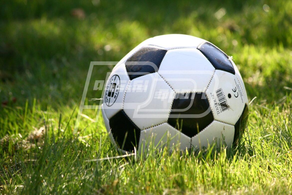 Designazioni Arbitrali