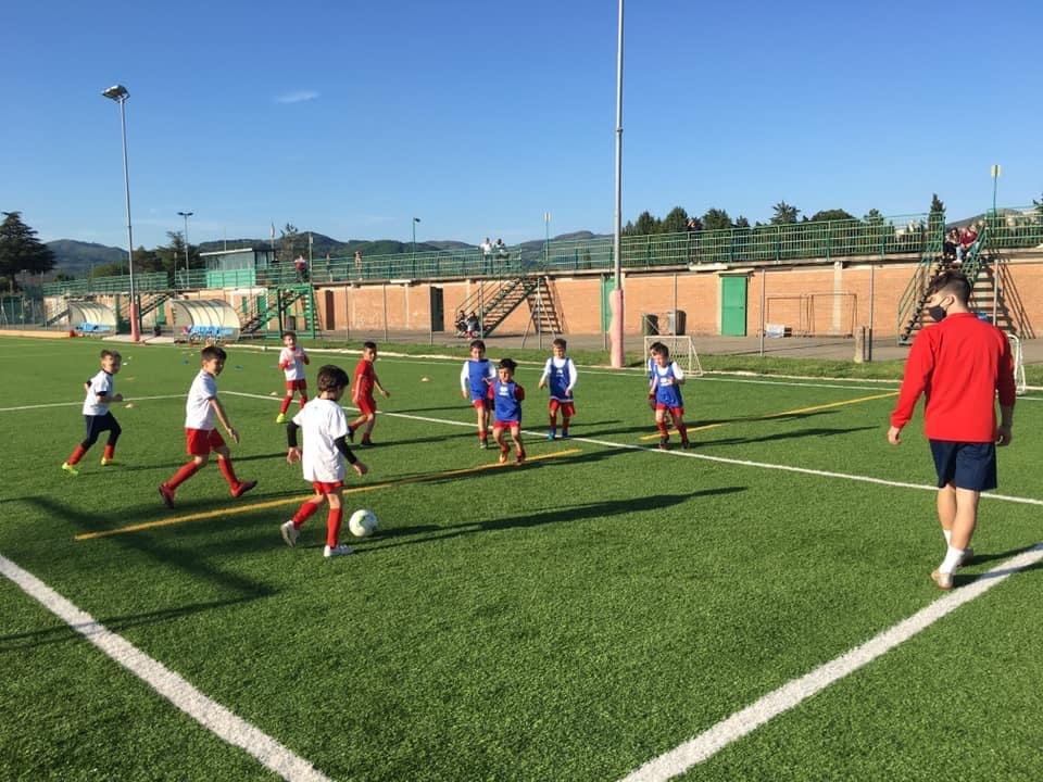 AA443224-4A7C-415A-A8AE-A6AD831D6036