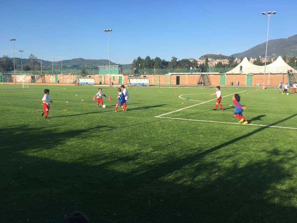 D09CDB10-256A-4710-9965-5635BC3042EF