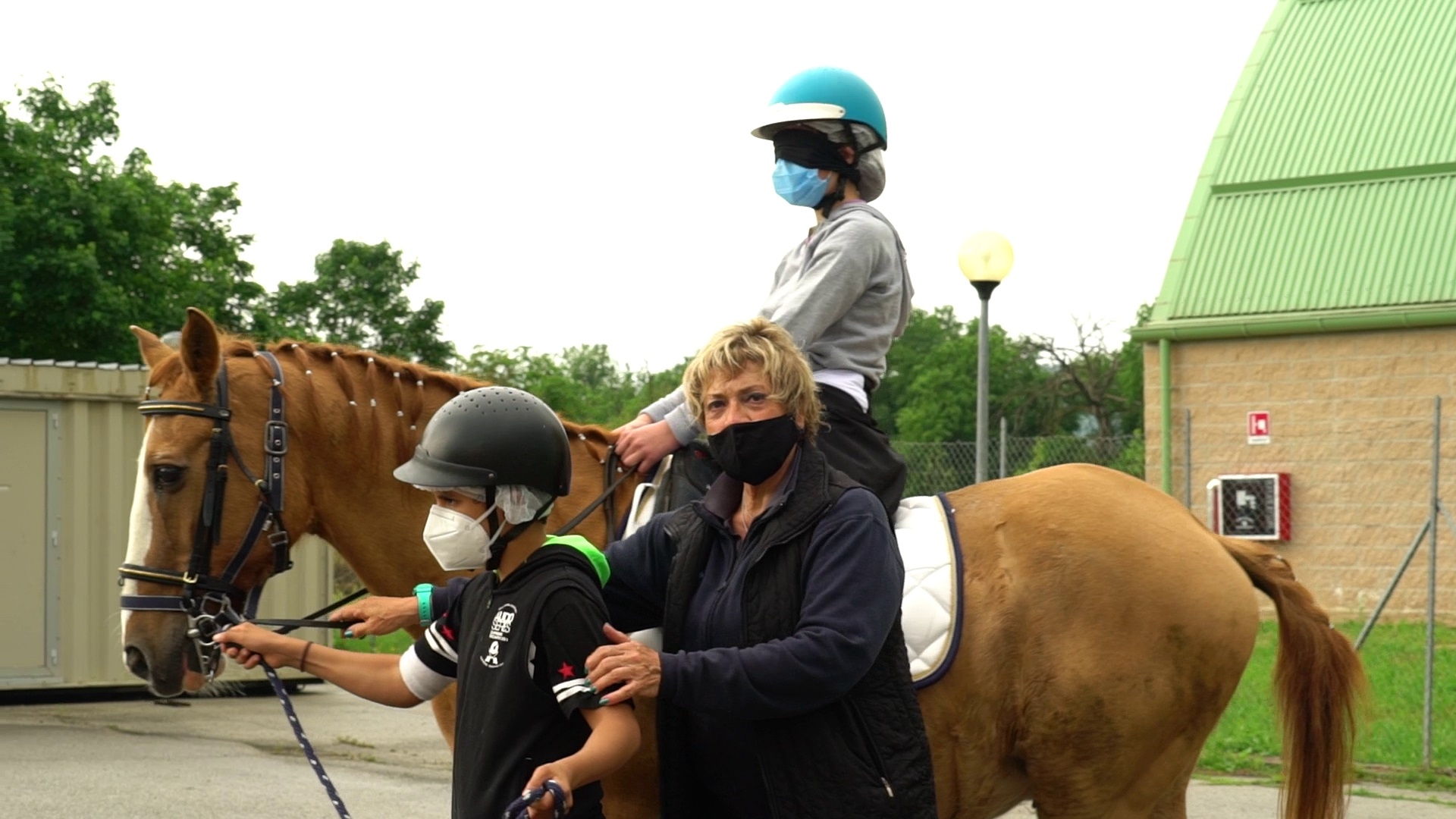 Attività con i cavalli 1