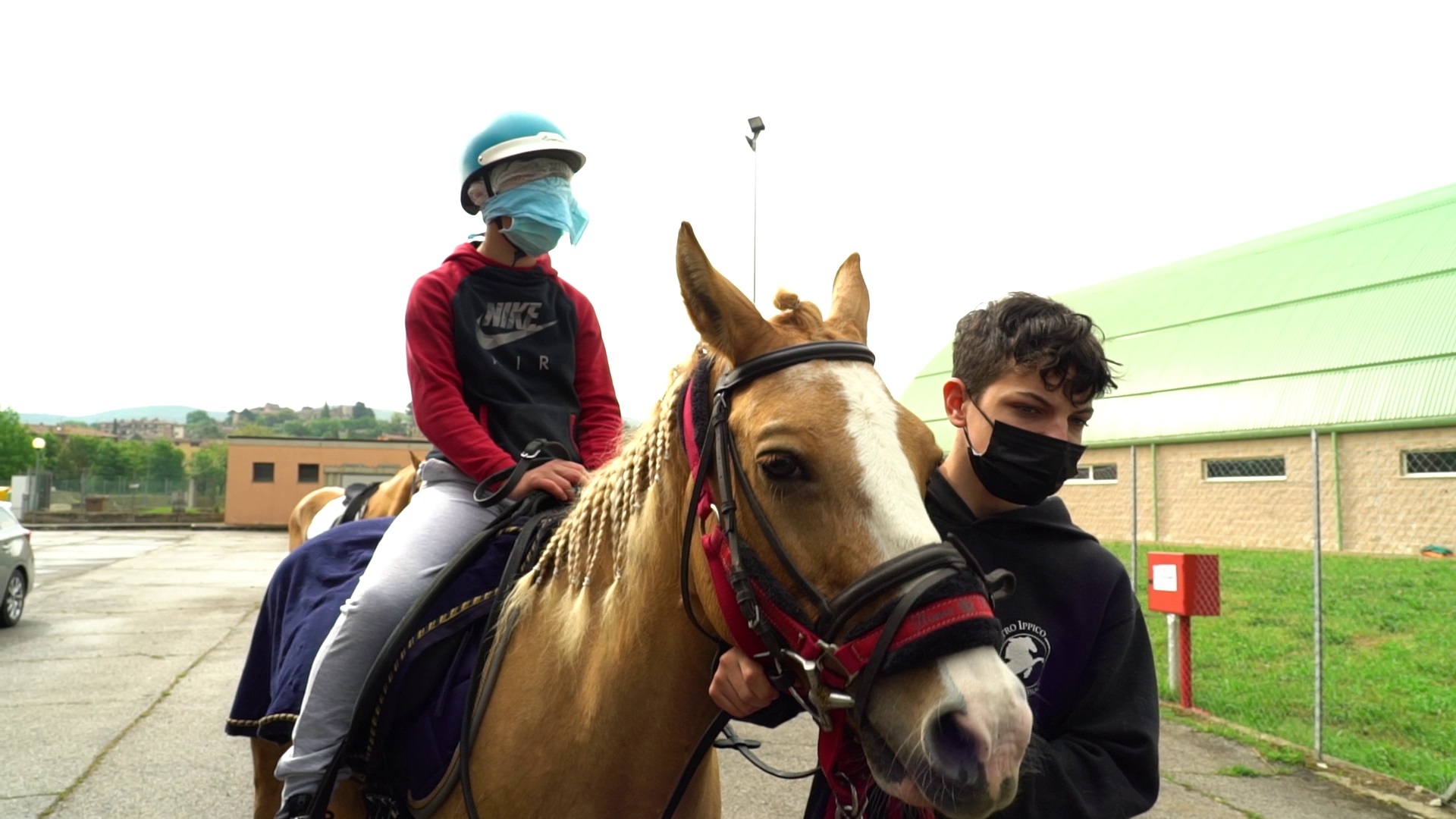 Attività con i cavalli 2