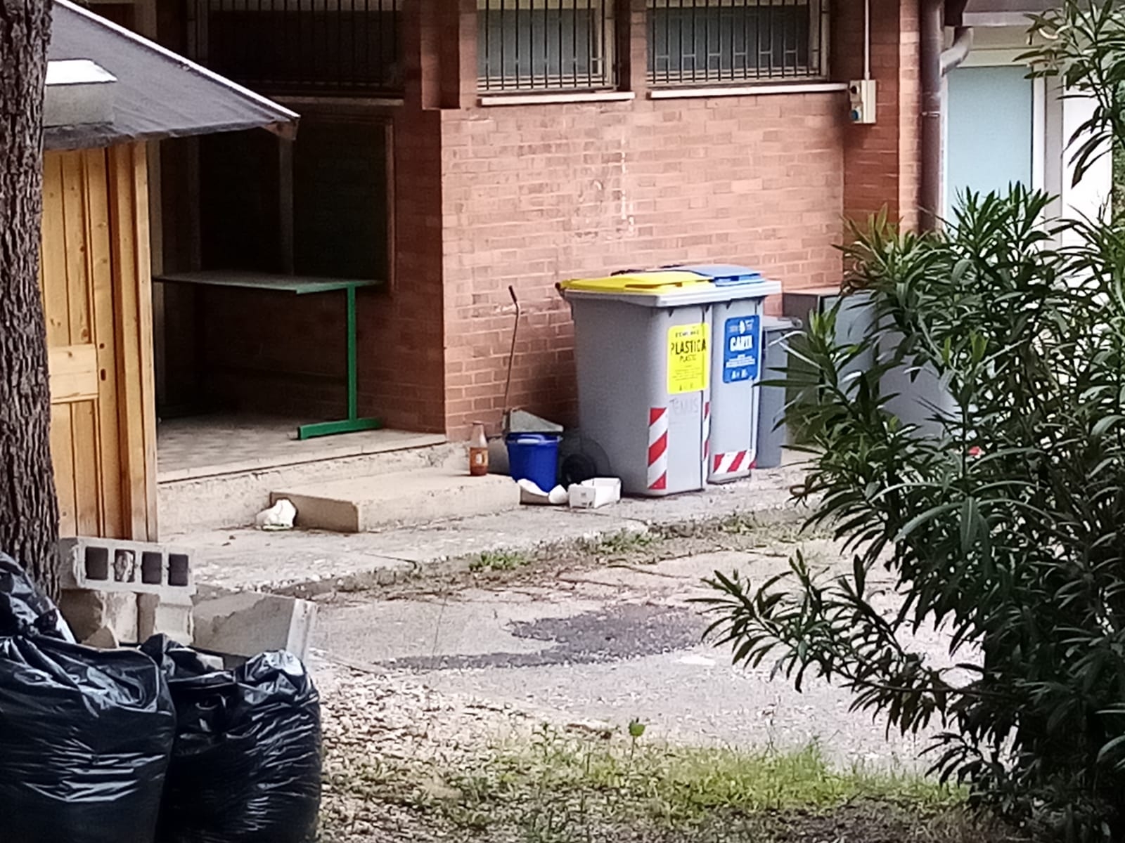 WhatsApp Image 2021-06-03 at 13.24.47