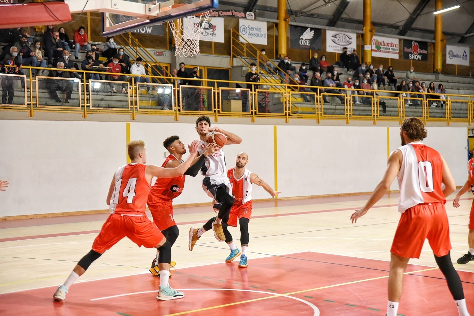 55B58369-53B4-4D54-871F-8D795F323C91