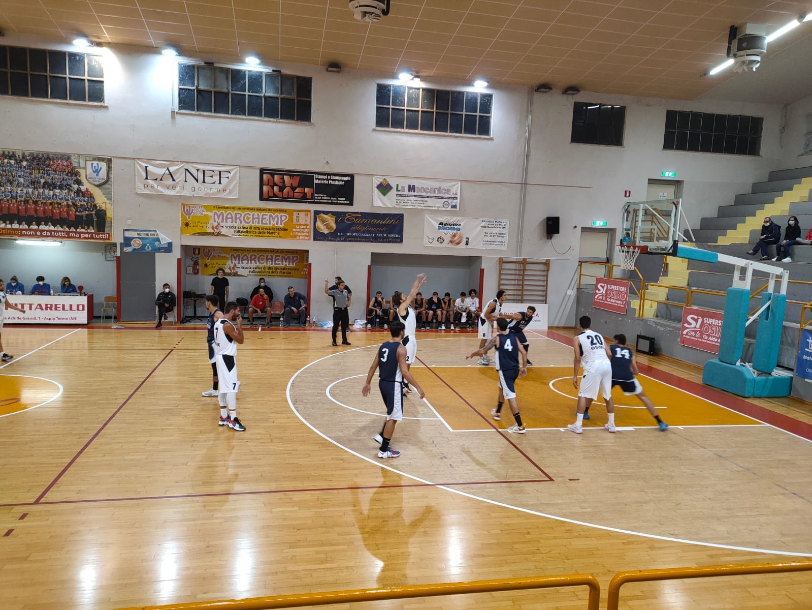 d8a88f4b-018b-497b-aa46-29925a8bf10f