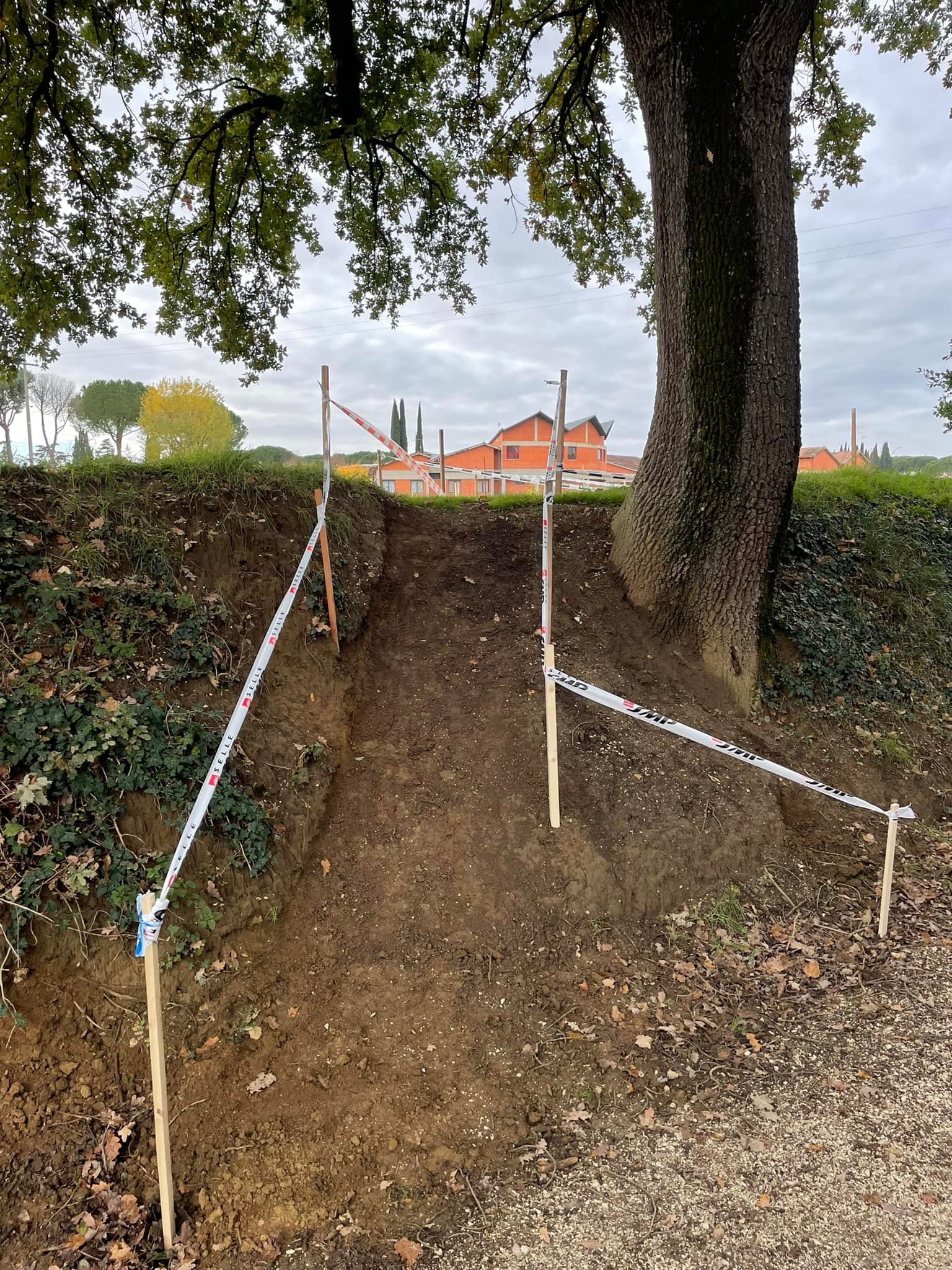 262116811_2006244099551324_8617615430883995641_n