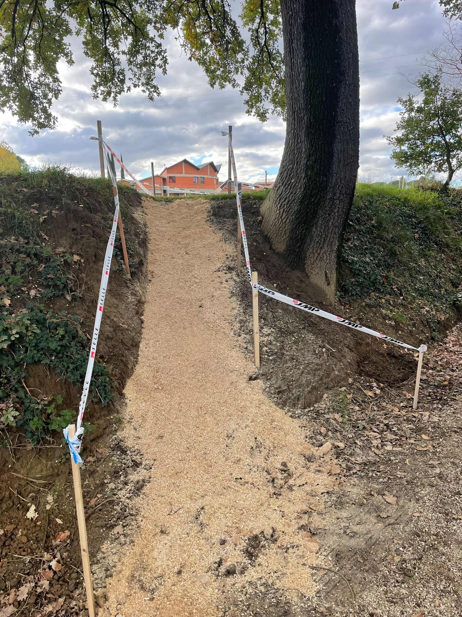 B81F628E-0603-45B7-89EE-67BBB4F1C932