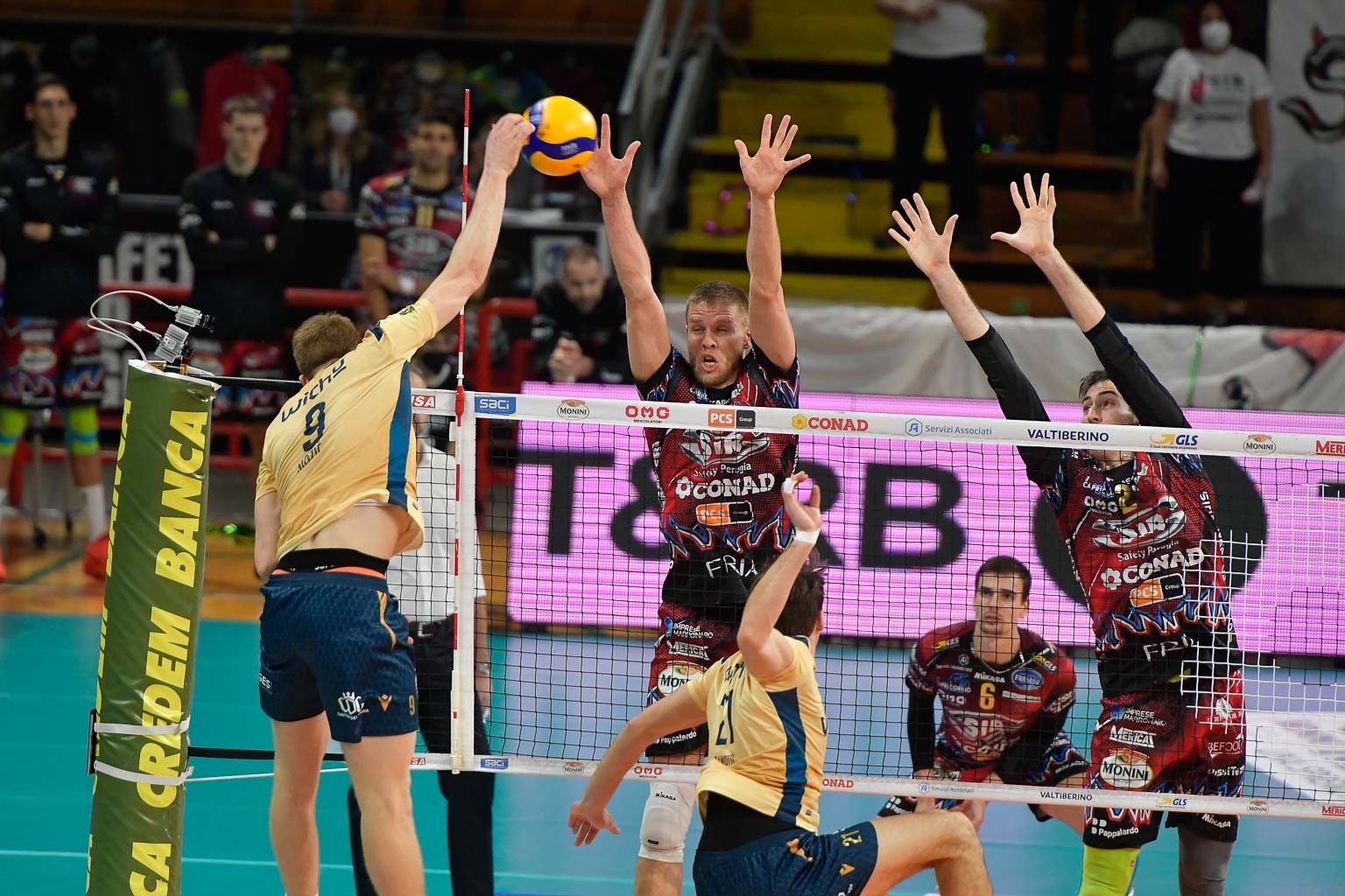 D307C884-9689-437D-8E56-F3F613F784E3