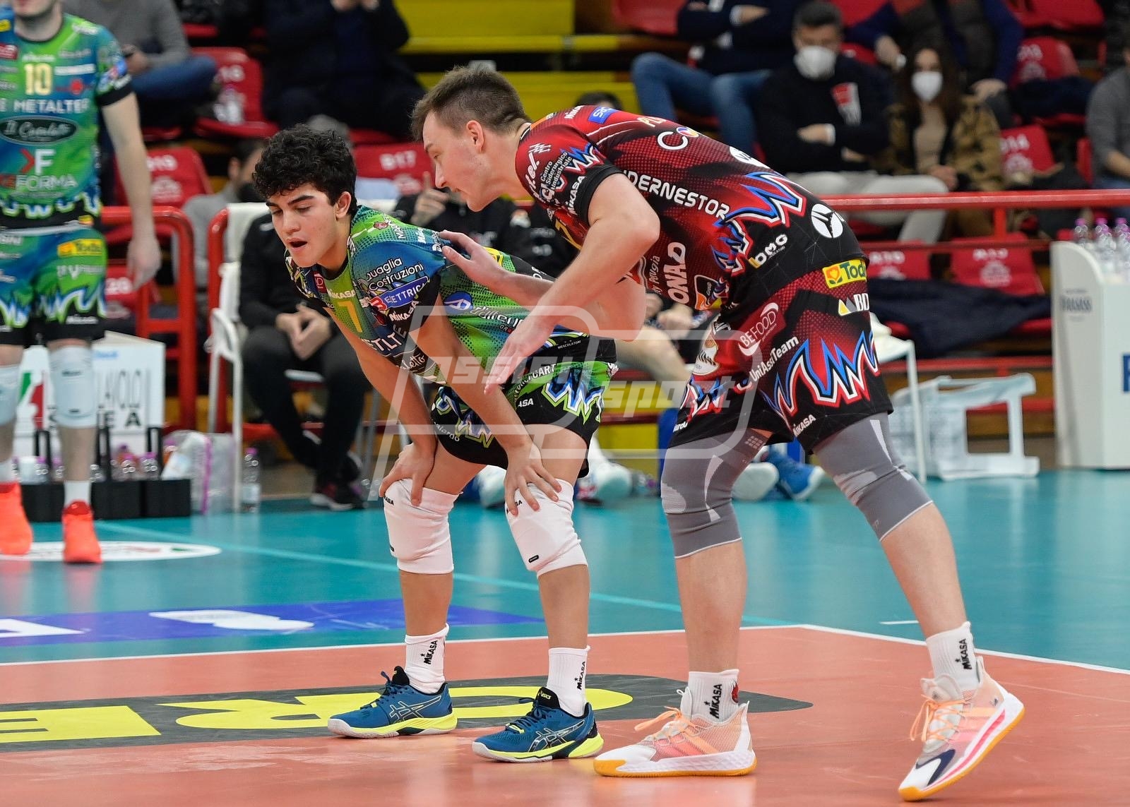 87678918-7DF4-402B-82E8-BCE9C5AFA984