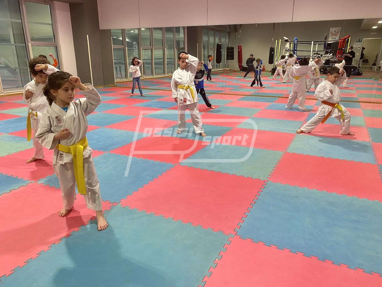 D72B9066-879F-4389-853B-8299E41BEDE8