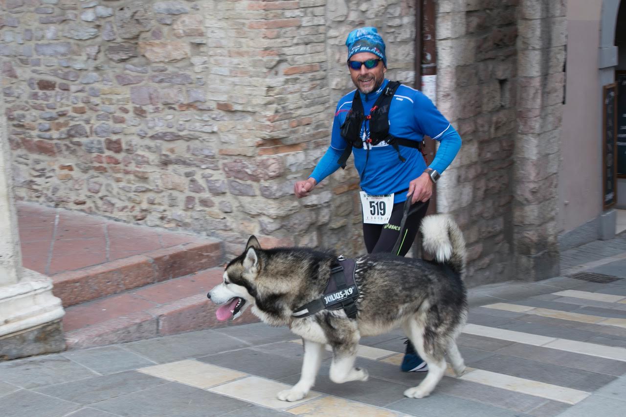 964758B1-9D51-49D3-8666-CE83AD7A79D8