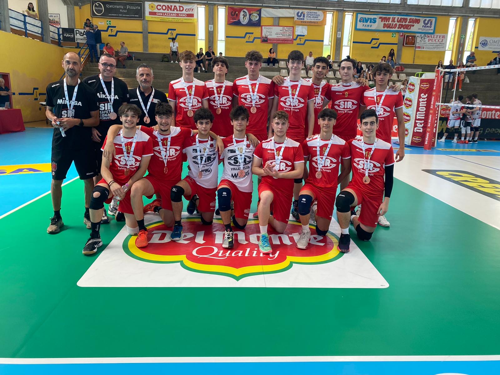 7CD2D831-3CBF-4209-972C-4F0A66436447