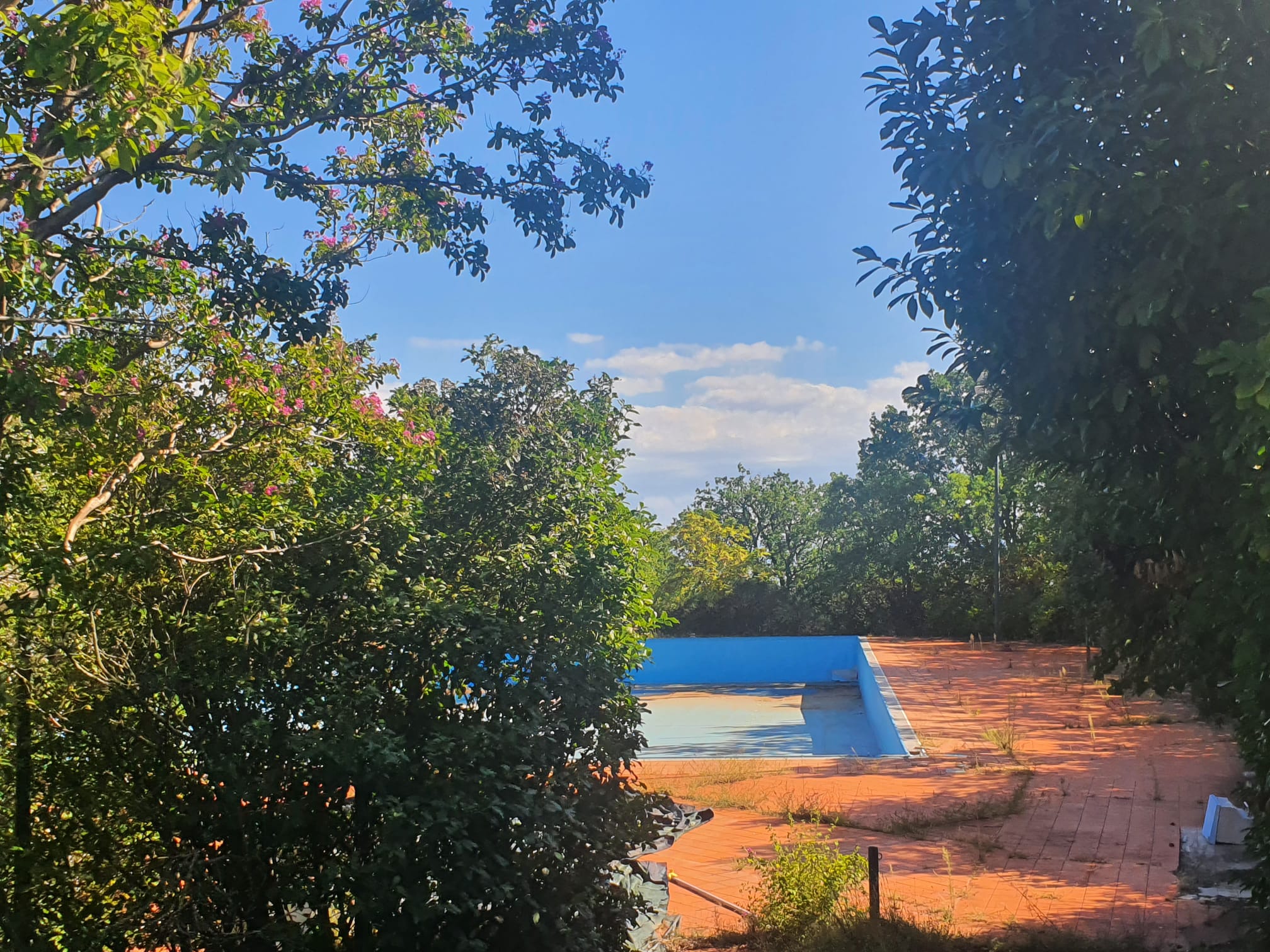 WhatsApp Image 2022-09-19 at 15.28.43 (1)