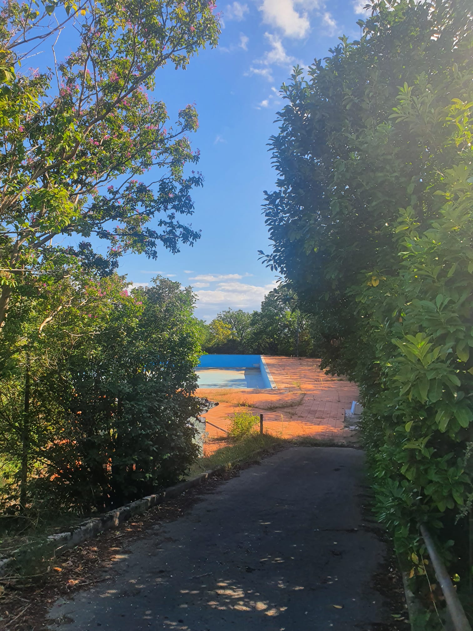 WhatsApp Image 2022-09-19 at 15.28.43 (2)