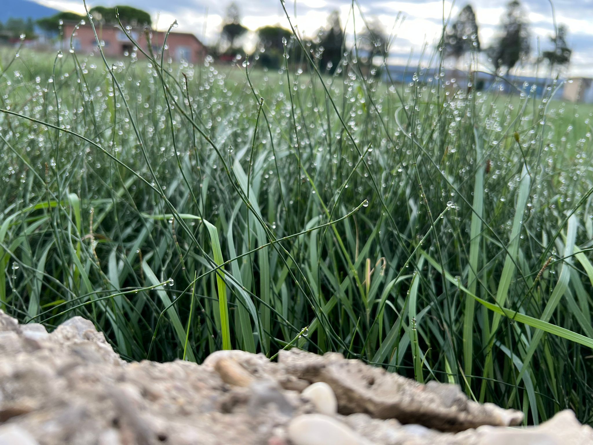 WhatsApp Image 2022-09-20 at 12.22.56