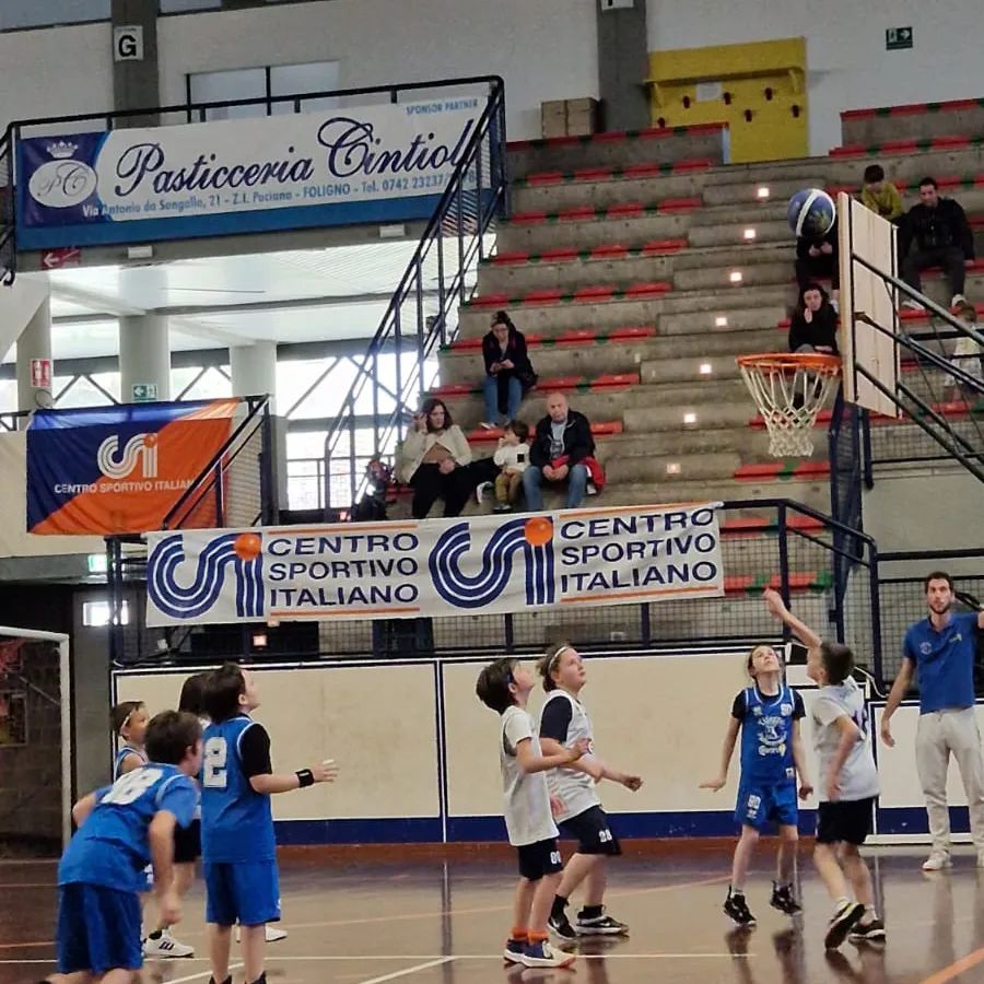 Csi Foligno