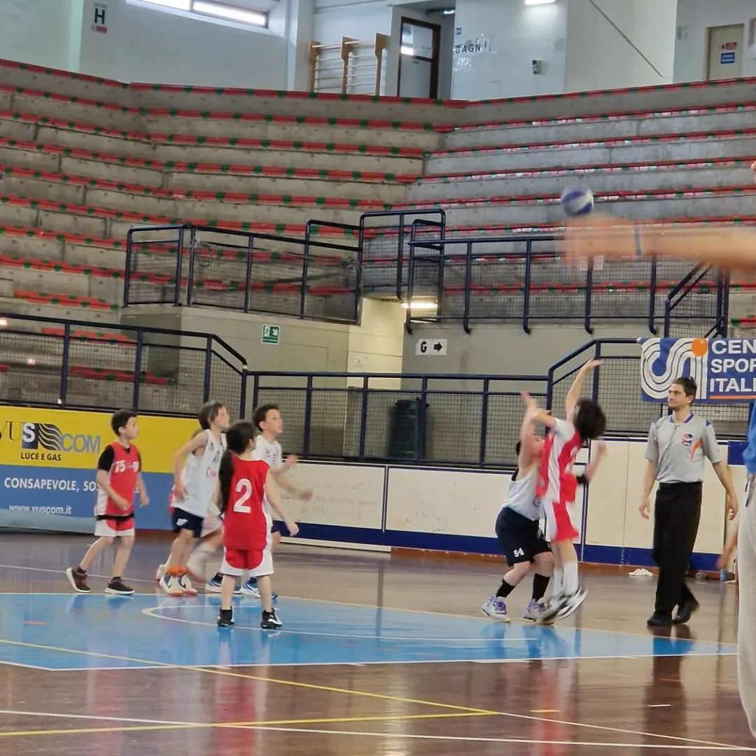 Csi Foligno