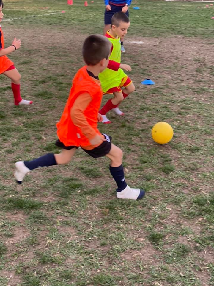 Torneo Future Palazzo 2023