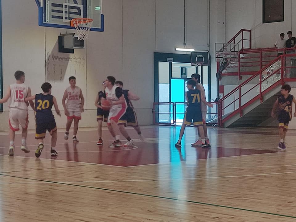 Basket Cannara