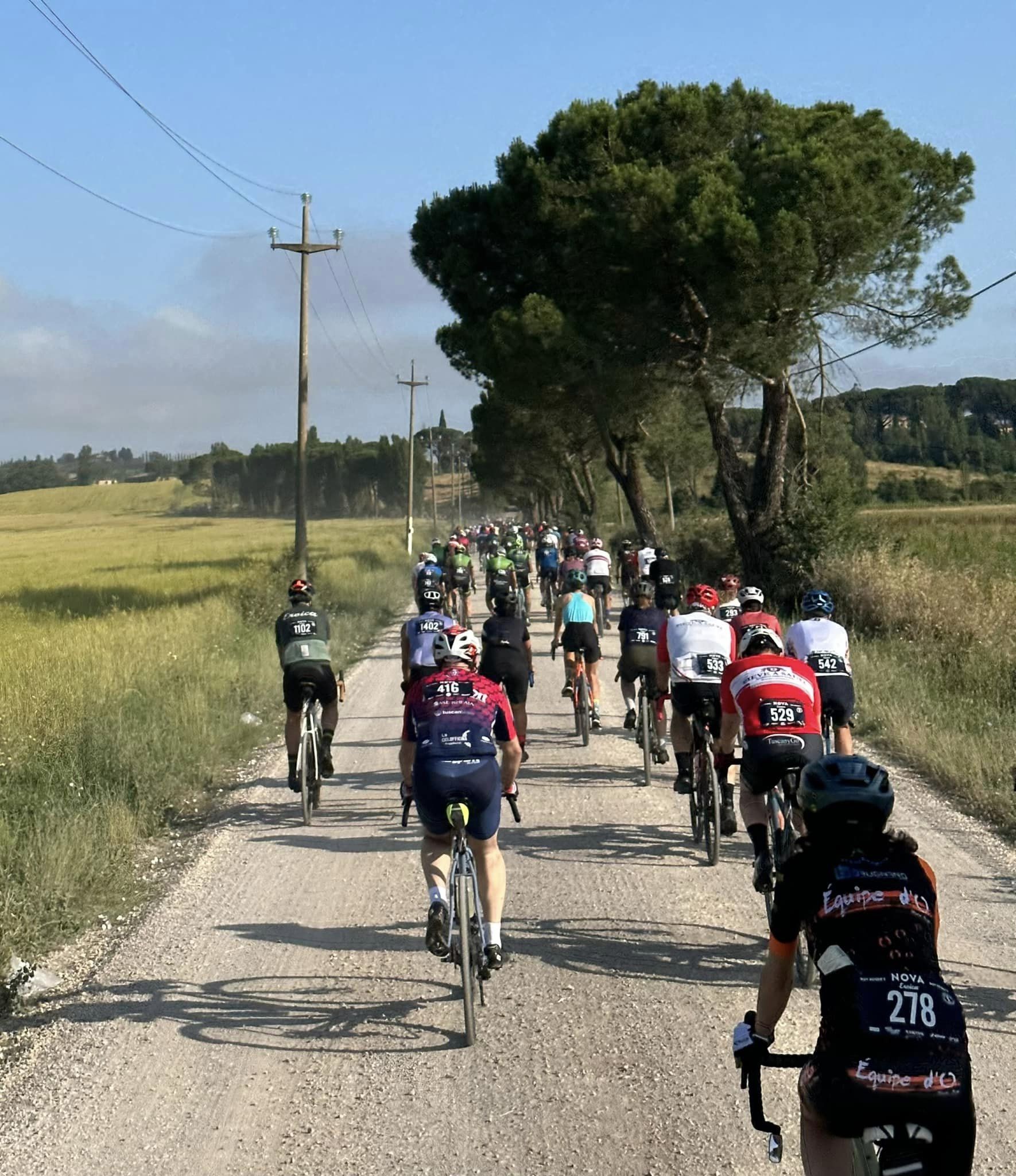UCP Amatori