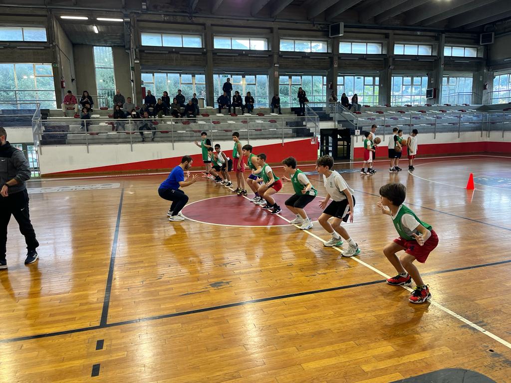 FIP UMBRIA