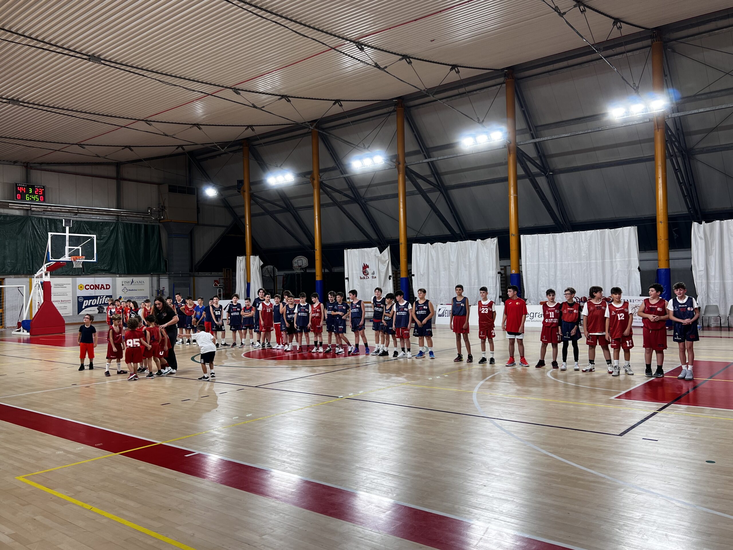 Virtus Assisi – Basket Todi