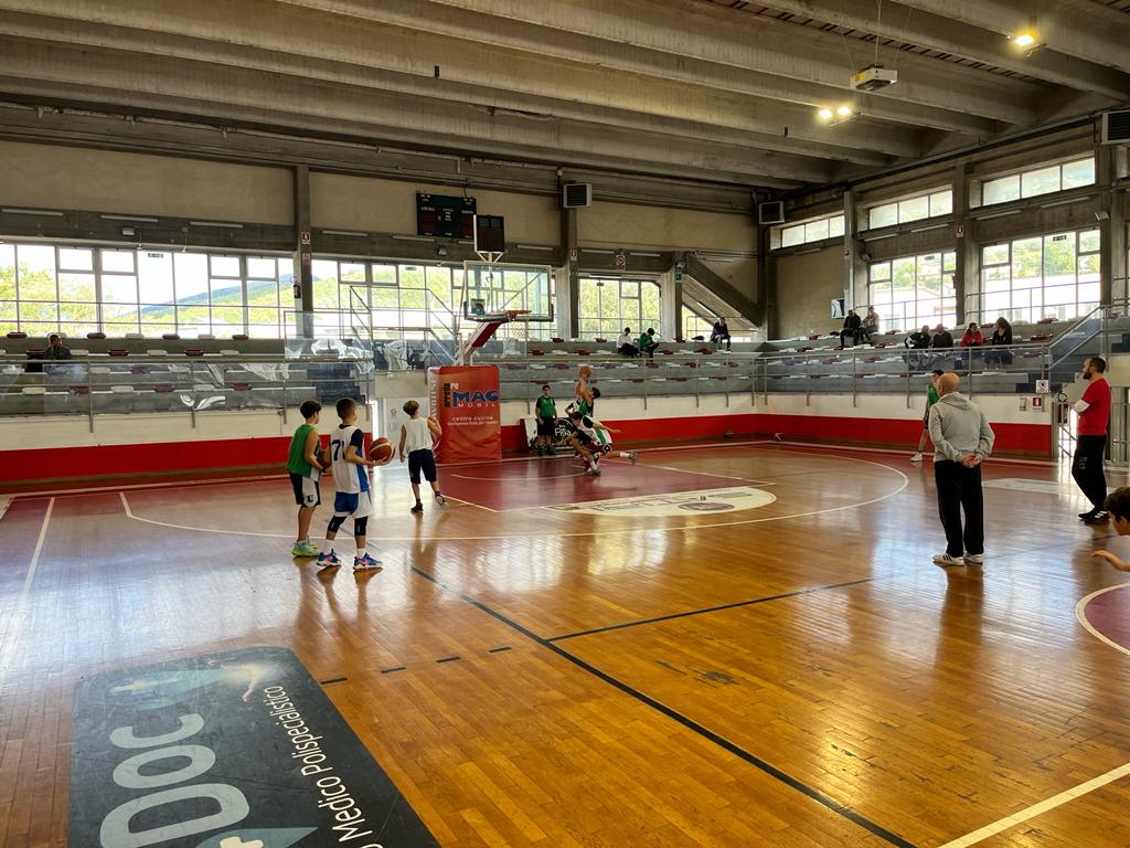 FIP UMBRIA
