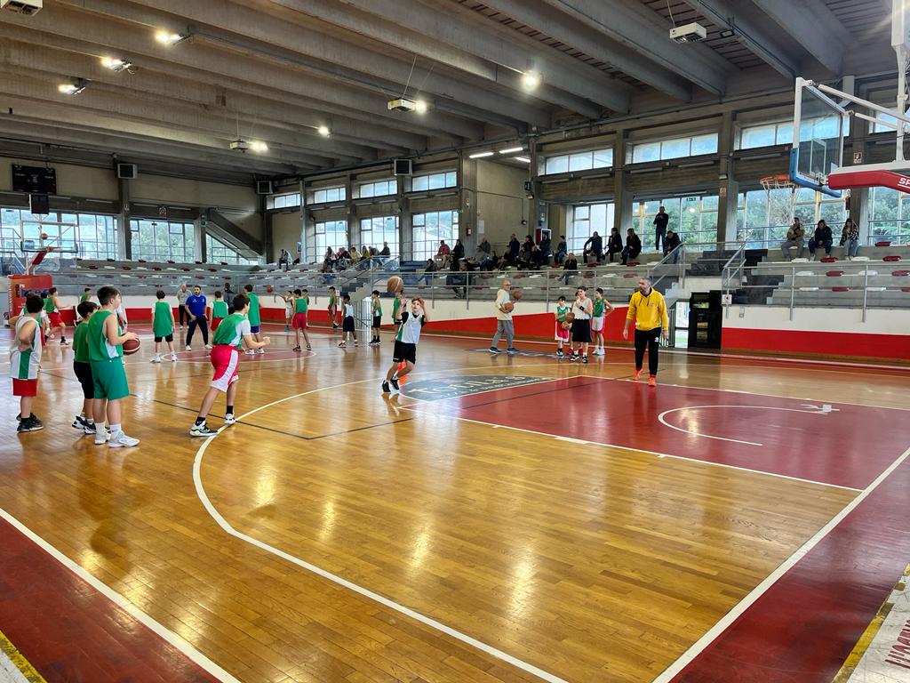 FIP UMBRIA