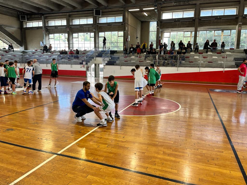 FIP UMBRIA