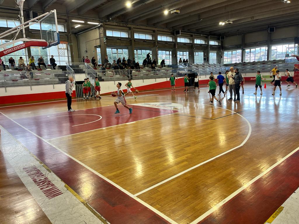 FIP UMBRIA