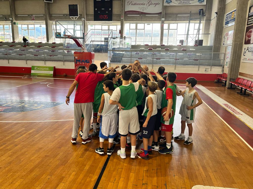 FIP UMBRIA