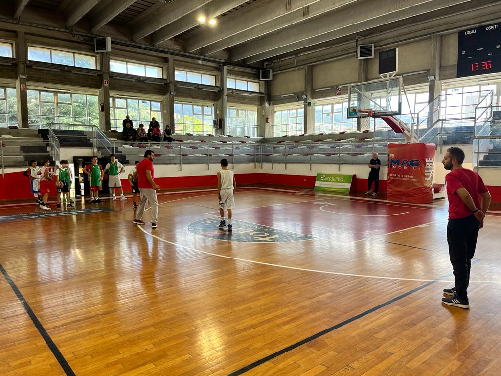 FIP UMBRIA