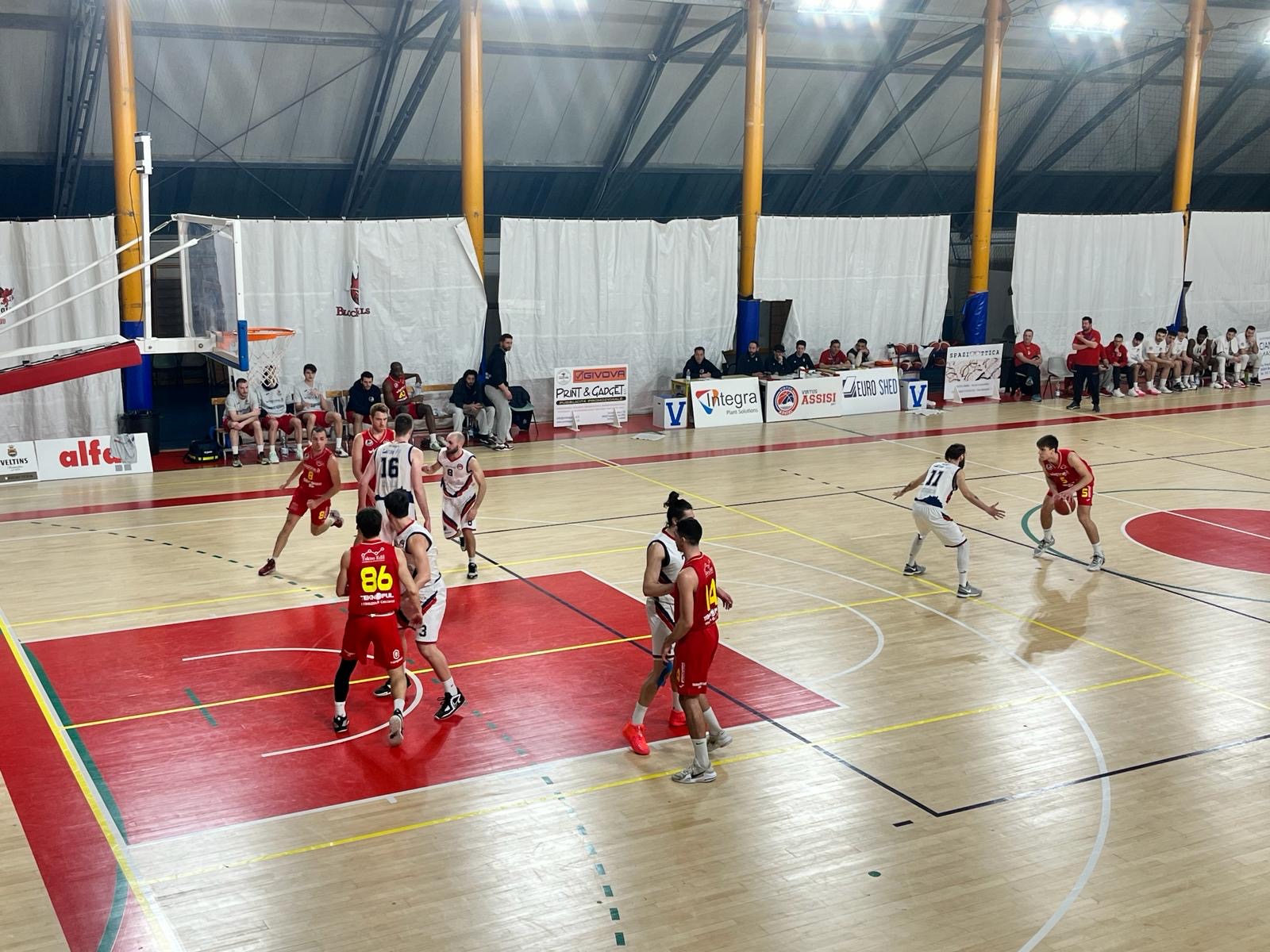 Virtus Assisi