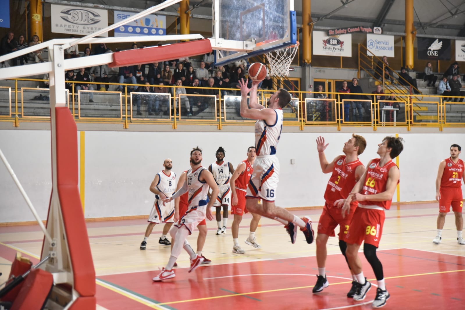 Virtus Assisi