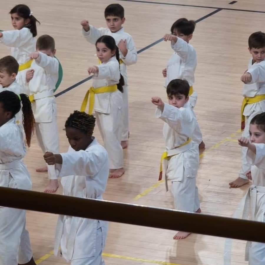 Epyca Karate