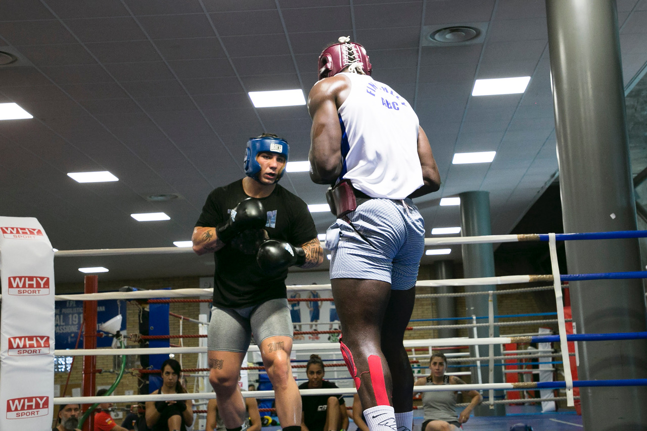 Pugilato allenamenti