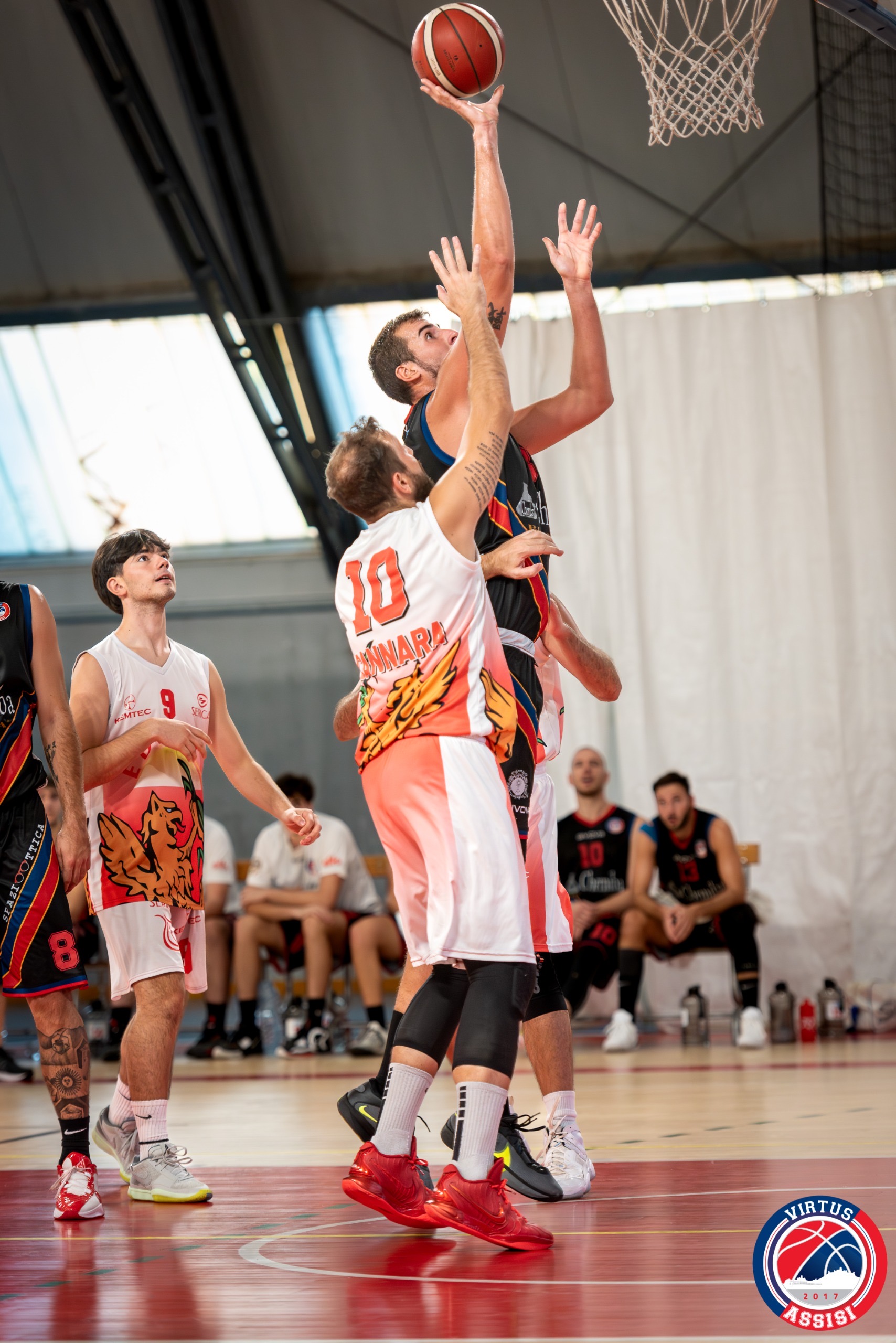 Memorial Tagliolini 2024